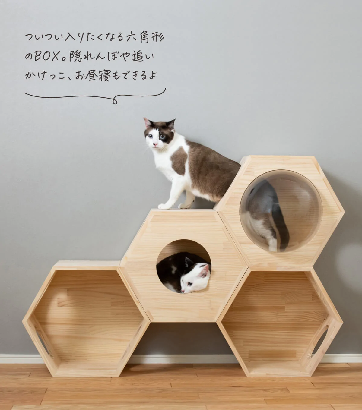 猫ハウス&キャットタワー 六角BOXセット（連結用）