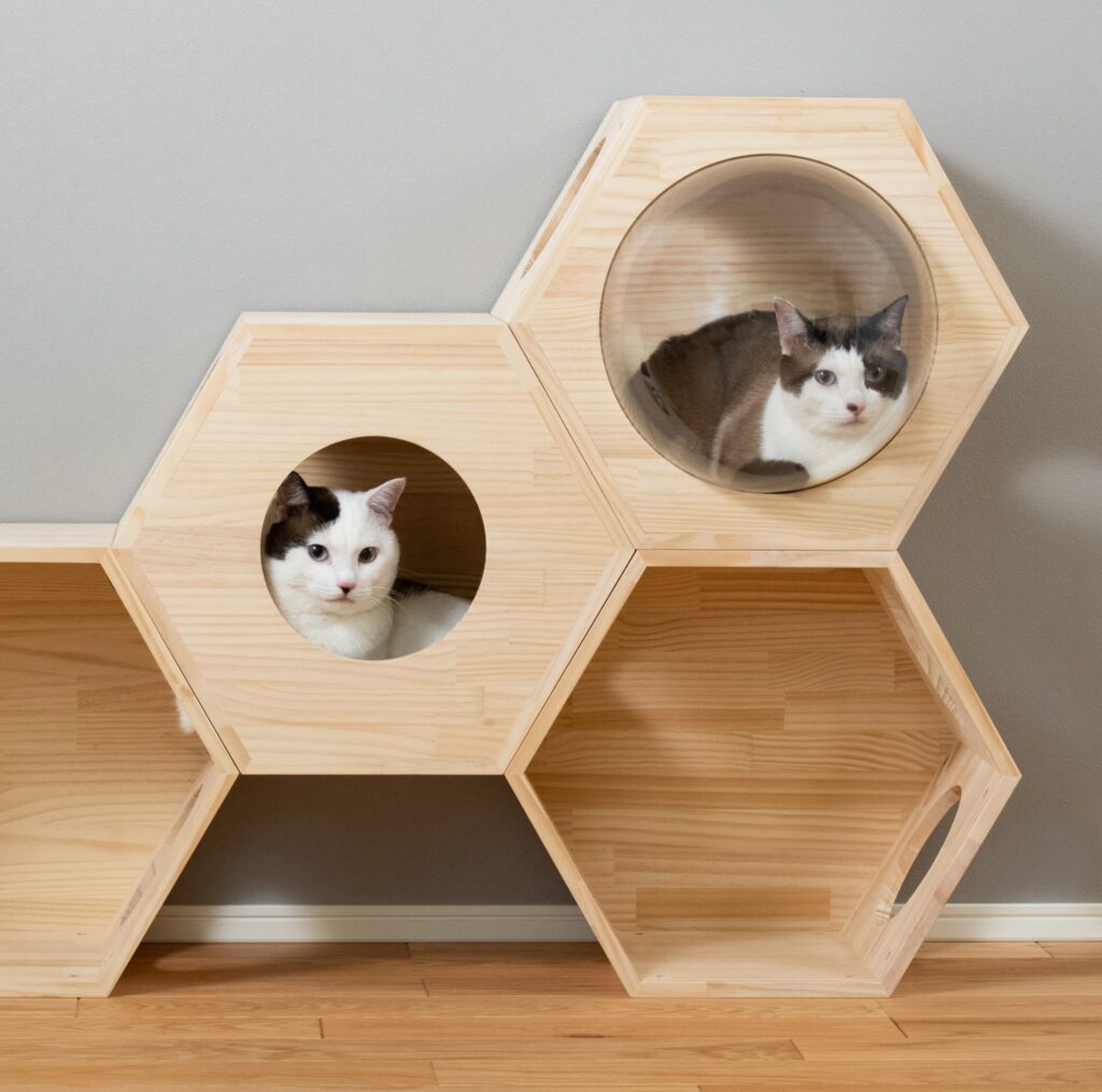 透明ボウル付きキャットタワー5選！猫のかわいさ100倍実感⁈ | 猫のため 