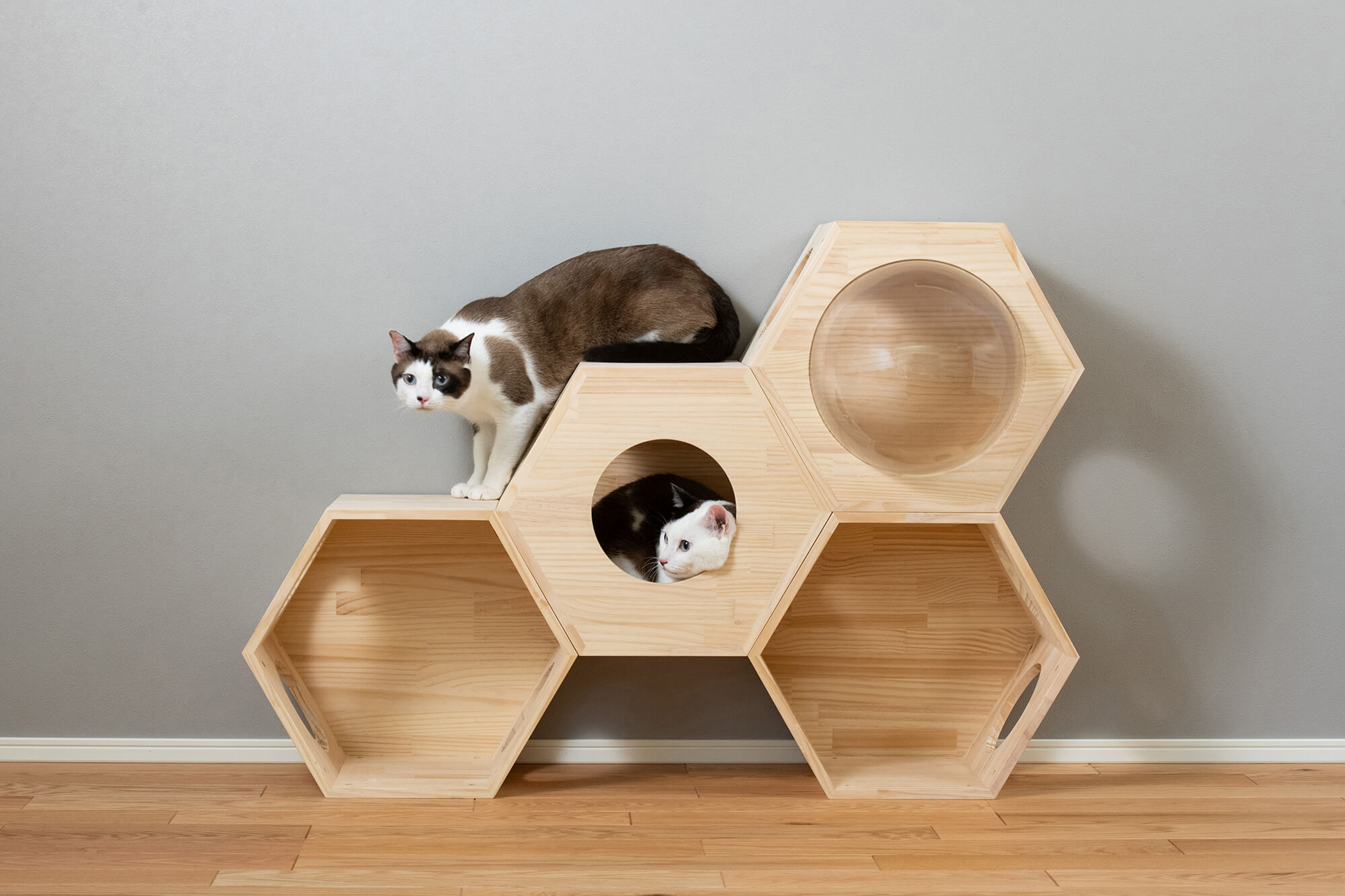 大型猫でも安心して遊べる木製のキャットタワー:多頭飼いにもおすすめ