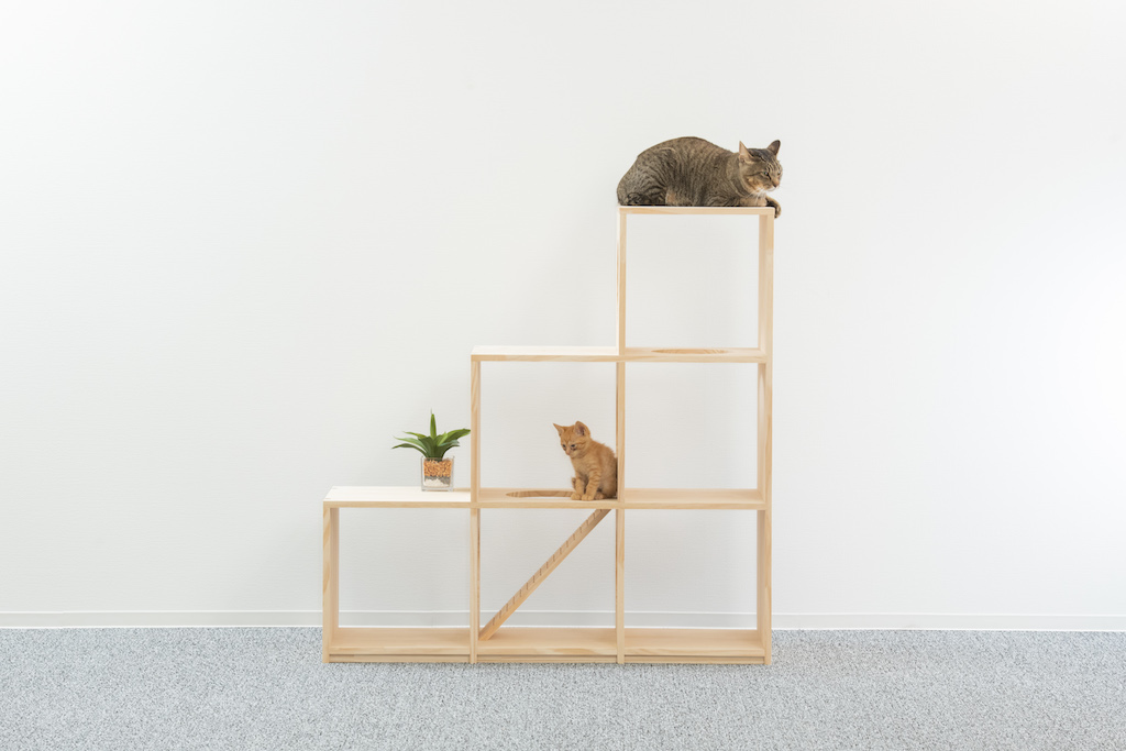 【子猫・シニア猫におすすめ】小さめでコンパクトなキャットタワー3選